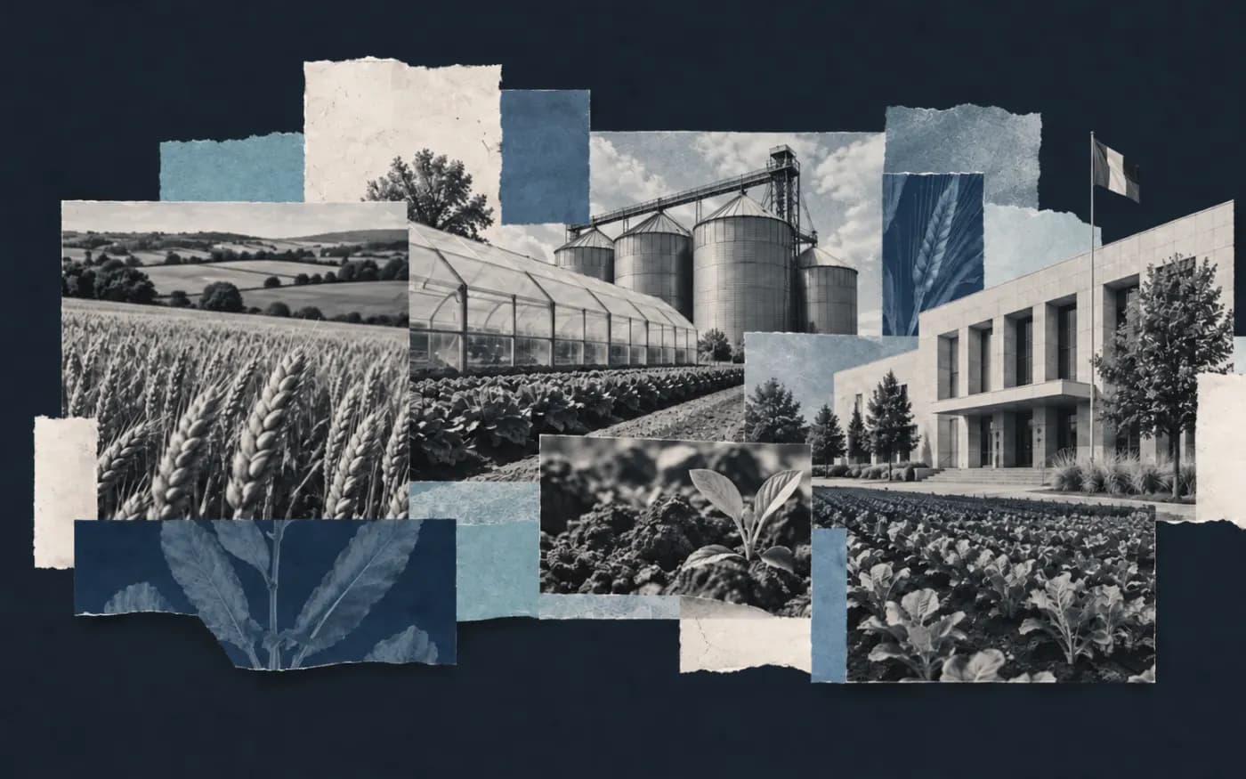 Collage éditorial de champs, serres et silos évoquant un opérateur public agricole